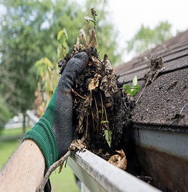 gutter cleaning services image
